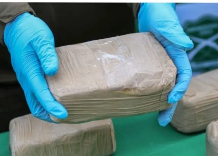 El Imperio Oculto: Quiénes Controlan Verdaderamente el Tráfico de Cocaína