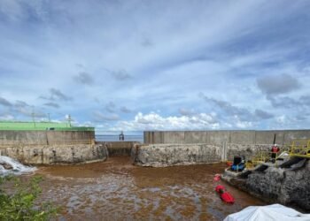 La invasión del sargazo: Planta eléctrica AES Andrés al borde del colapso