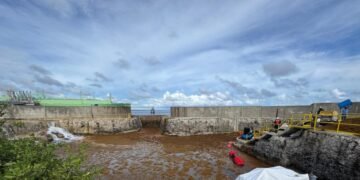 La invasión del sargazo: Planta eléctrica AES Andrés al borde del colapso