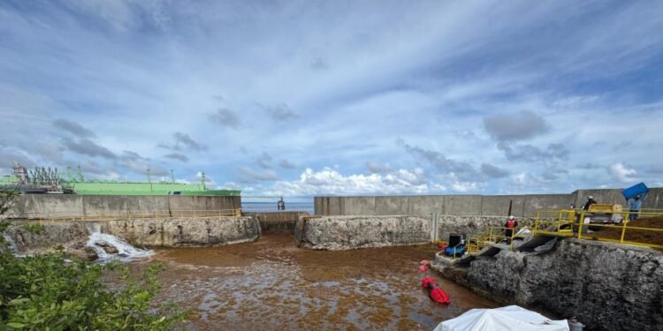 La invasión del sargazo: Planta eléctrica AES Andrés al borde del colapso