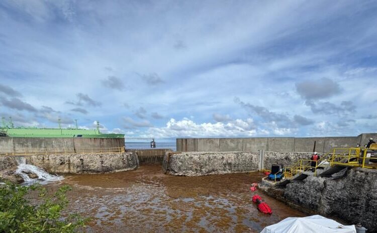 La invasión del sargazo: Planta eléctrica AES Andrés al borde del colapso