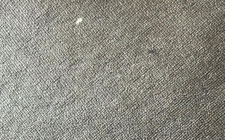 Atentado contra la familia: Casa de hermana de periodista dominicano es baleada en Saint Thomas