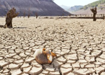 Cambio climático: ¿Quién paga la cuenta cuando la verdad es negada?