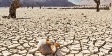 Cambio climático: ¿Quién paga la cuenta cuando la verdad es negada?