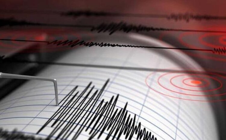 ¡Pánico en SD! Fuerte temblor de 5 grados sacude la capital y provincias