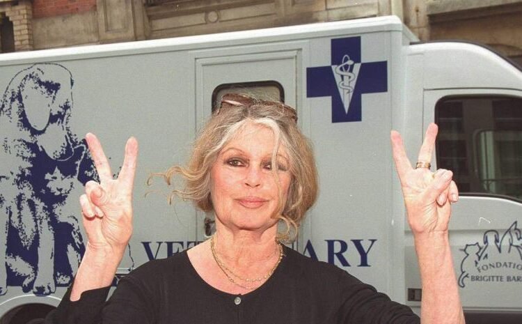 ¡Brigitte Bardot sale del hospital y regresa a su casa de Saint-Tropez!