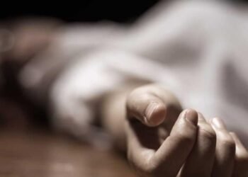 Similitudes alarmantes: La violencia recurrente vincula los últimos femicidios