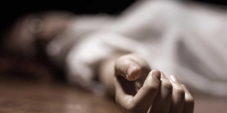 Similitudes alarmantes: La violencia recurrente vincula los últimos femicidios