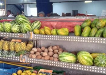 COE desafía la alerta roja: Comercios abren en 4 provincias