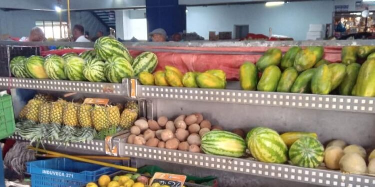 COE desafía la alerta roja: Comercios abren en 4 provincias