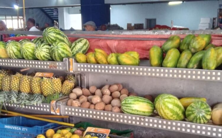 COE desafía la alerta roja: Comercios abren en 4 provincias