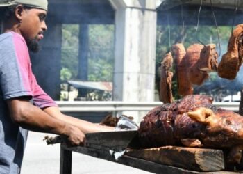 Cerdo, porcelana y jaibas: La increíble vida secreta de la Autopista Duarte