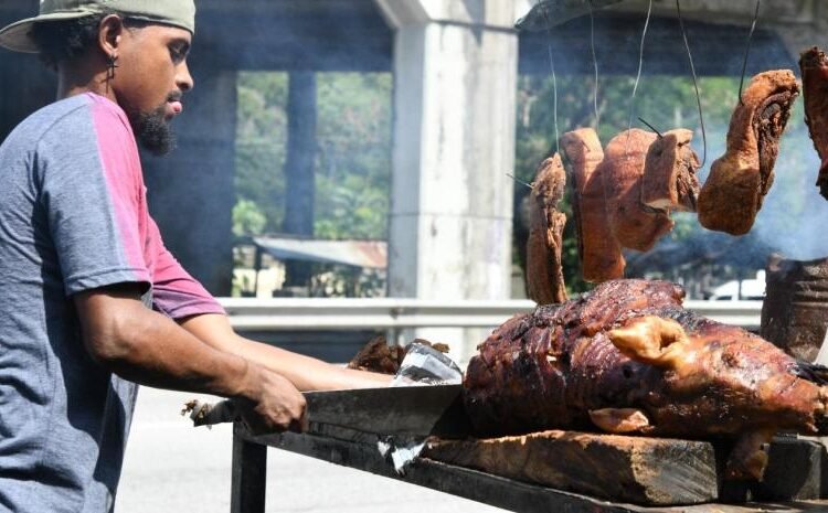 Cerdo, porcelana y jaibas: La increíble vida secreta de la Autopista Duarte