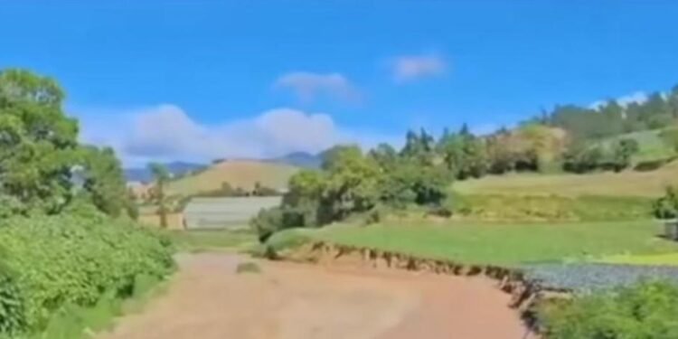 Cibao en Crisis: Lluvias Devastan Agricultura y Hogares