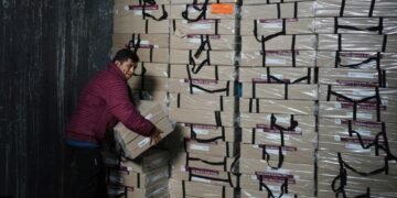 OEA Urge Calma y Prudencia a Candidatos por Resultados Oficiales