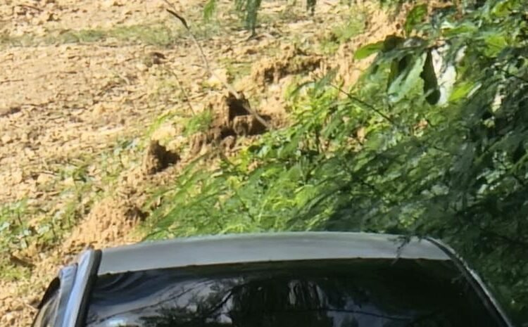 Nagua en shock: Descubren a dos adolescentes sin vida en un vehículo