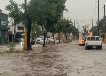 Senadores: ¡Emergencia activada si el Ejecutivo lo requiere