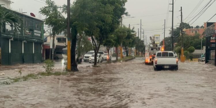 Senadores: ¡Emergencia activada si el Ejecutivo lo requiere