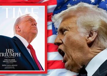 ¿Qué Hacen Y El Porqué Detrás