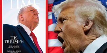 ¿Qué Hacen Y El Porqué Detrás