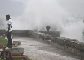 El Secreto Mortal de Melissa: Por Qué su Lento Avance Es Catastrófico