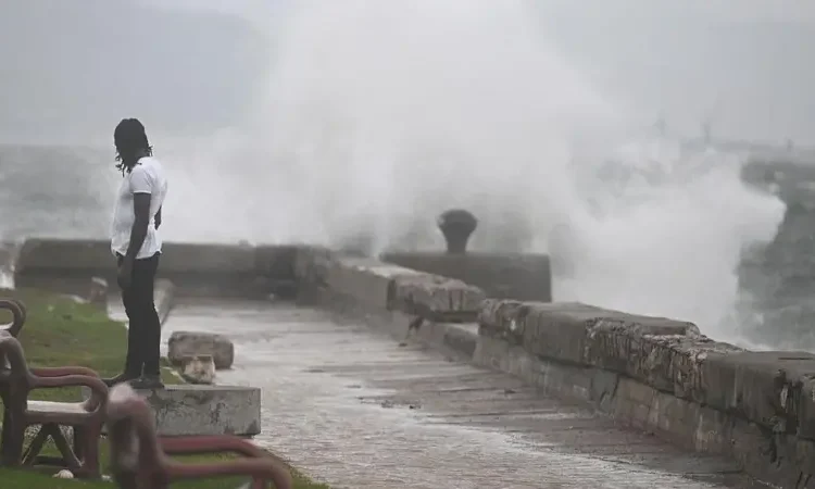 El Secreto Mortal de Melissa: Por Qué su Lento Avance Es Catastrófico