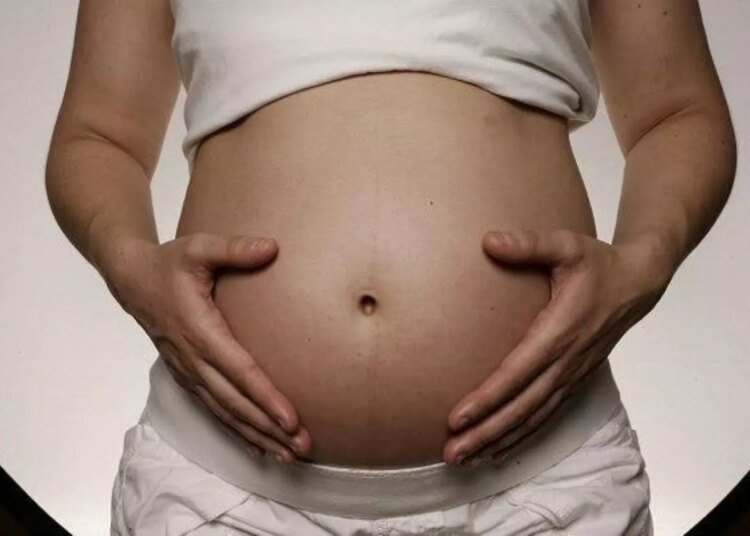 Tu microbiota materna: la clave científica que blinda tu embarazo