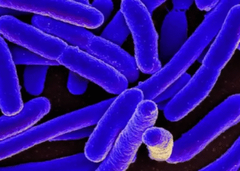 La Bacteria Que Enfermó al Mundo y Resucitó la Ciencia Médica