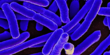 La Bacteria Que Enfermó al Mundo y Resucitó la Ciencia Médica