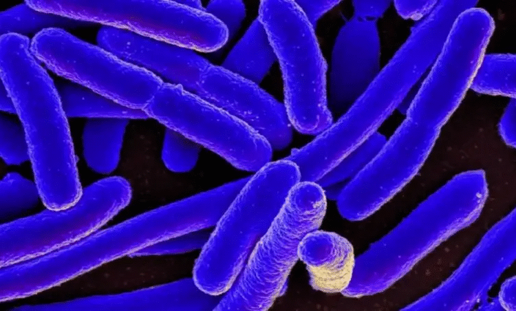 La Bacteria Que Enfermó al Mundo y Resucitó la Ciencia Médica