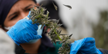 La Pieza Clave Que Lo Desbloquea Todo