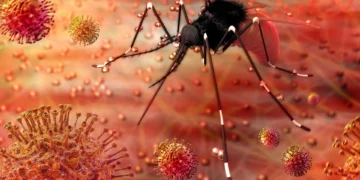 Infectólogo alerta: Qué enfermedades acechan tras la Tormenta Melissa