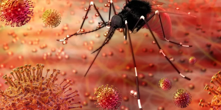 Infectólogo alerta: Qué enfermedades acechan tras la Tormenta Melissa