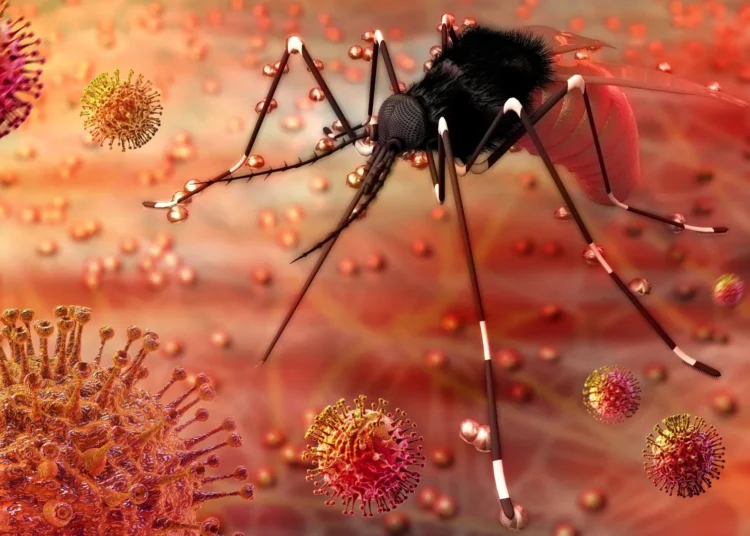 Infectólogo alerta: Qué enfermedades acechan tras la Tormenta Melissa