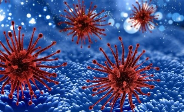 ¡Alerta máxima! Frena las superbacterias con planes de control urgentes