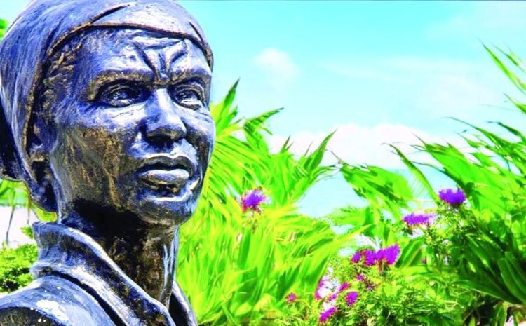 Mamá Tingó: La Voz Eterna Que Exige Justicia Para Mujeres Sin Tierra