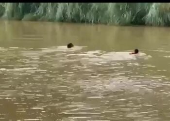 DNCD persigue a pareja que se tira al río Yuna: ¿Qué esconden