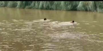 DNCD persigue a pareja que se tira al río Yuna: ¿Qué esconden