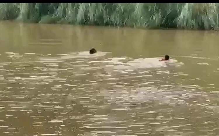 DNCD persigue a pareja que se tira al río Yuna: ¿Qué esconden