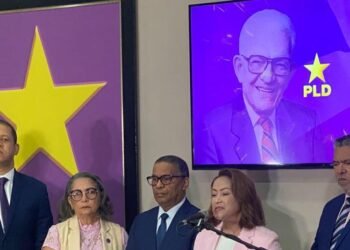 PLD alerta: Construcción en crisis por parálisis de obras