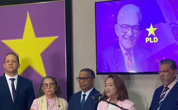 PLD alerta: Construcción en crisis por parálisis de obras