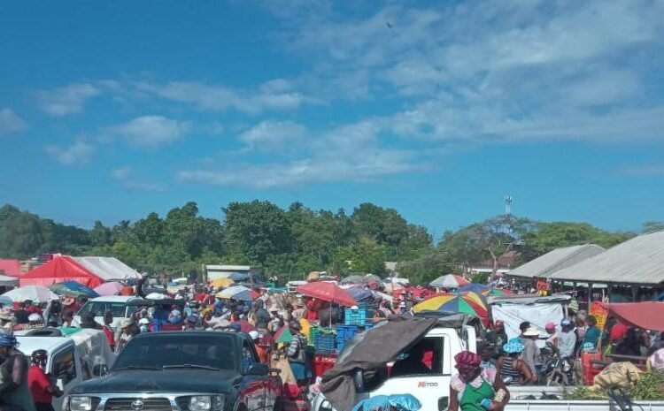 ¡El Mercado Dominico-Haitiano Resurge con Fuerza Tras Melissa!