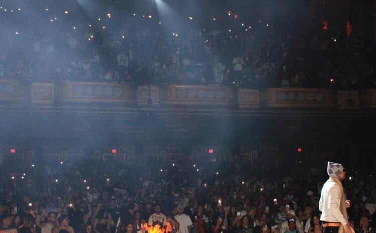 Dowba Montana Rompe El United Palace: Lleno Total Con El Trap En Español