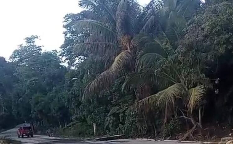 Sosúa: Vía alterna a Montellano ¡INTRANSITABLE por deterioro extremo!