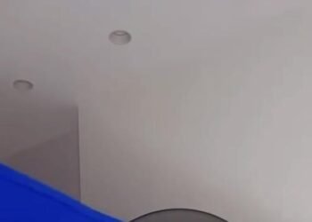 Mundial 2026: Sarodj enloquece con clasificación histórica de Haití