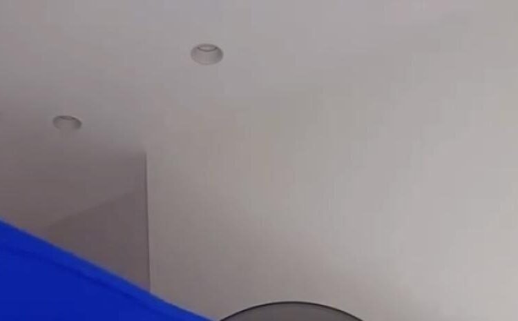 Mundial 2026: Sarodj enloquece con clasificación histórica de Haití