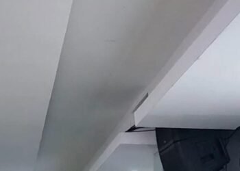 Director Policía Nacional se pronuncia sobre sentencia TC que despenaliza sodomía