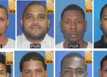 Quién es quién: La presunta red de Francisco Paulino en Boca Chica al descubierto