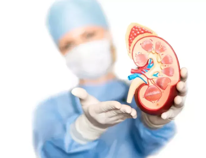 Los requisitos REALES para donar un riñón en vida