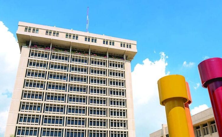 Banco Central desglosa el secreto: cómo se calculan los dólares del país